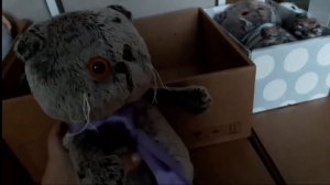 Кто съел колбаску?!