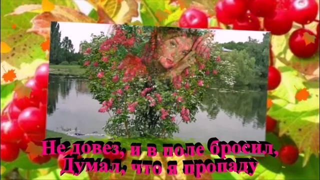 Калина, калина – ягода поздняя. Как же горька ты, и как хороша! смотреть онлайн