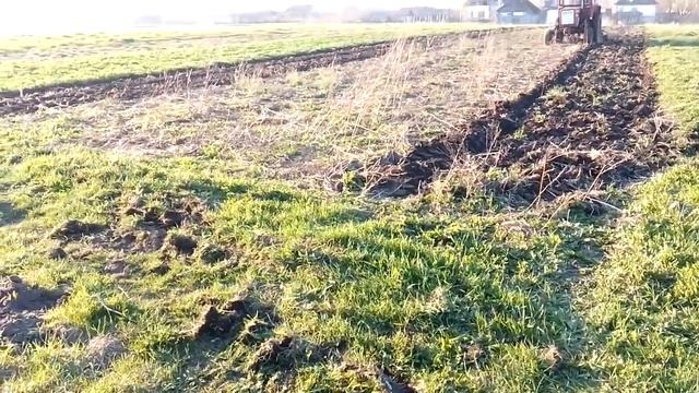 Дисковая борона BOMET и трактор т 25 !!! Отличная вспашка смотреть онлайн