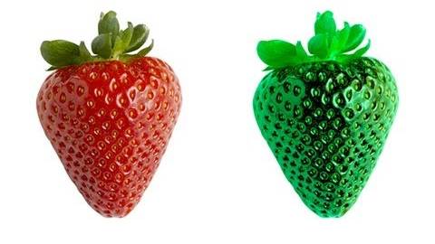 Vsauce: Is Your Red The Same as My Red?