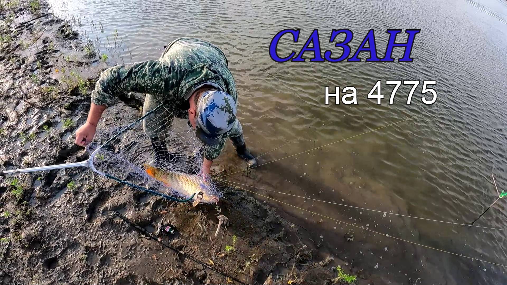 Поймал САЗАНА на 4775 смотреть онлайн