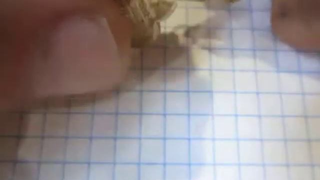 ЦК ВЛКСМ За активное участие в проведении и подготовке 12 всемирного фестиваля молодежи и студентов смотреть онлайн