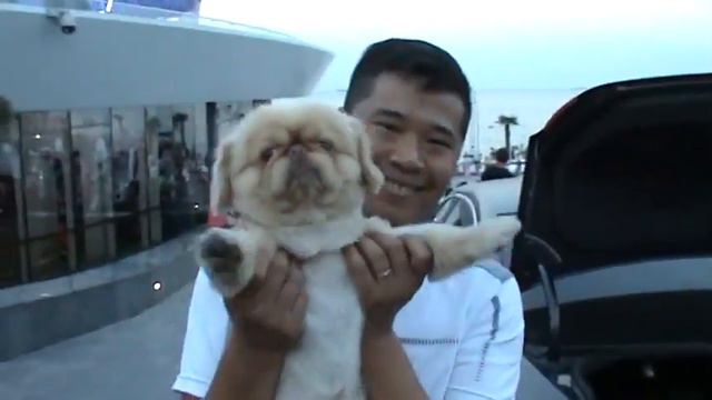 Чао чао и... Чао чао )))