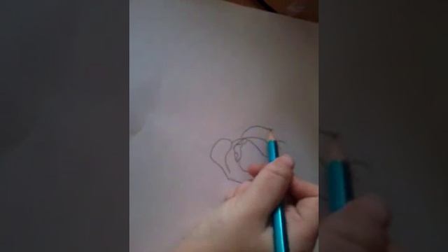 Рисуем Симбу и Налу смотреть онлайн