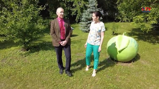 «Рахманинов» в усадьбе Веневитинова смотреть онлайн
