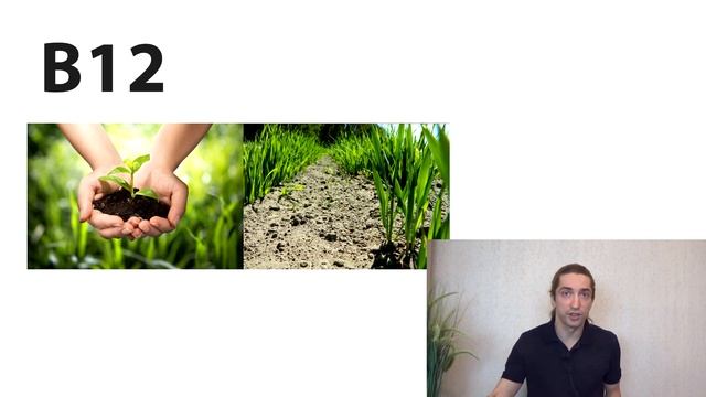 МЯСО. БЕЛОК. В12. Хищники и травоядные. Видовое питание человека смотреть онлайн