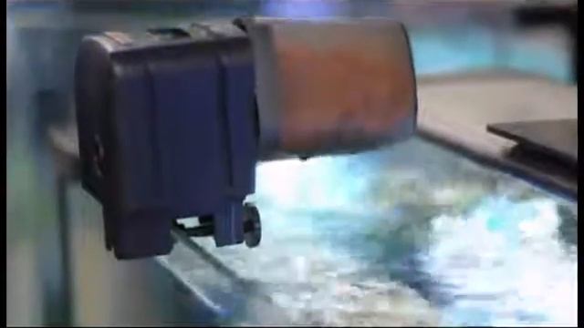 EHEIM Everyday Fish Feeder Programmable Automatic Food Dispenser Pet Self Feeders Pet Supplies смотреть онлайн