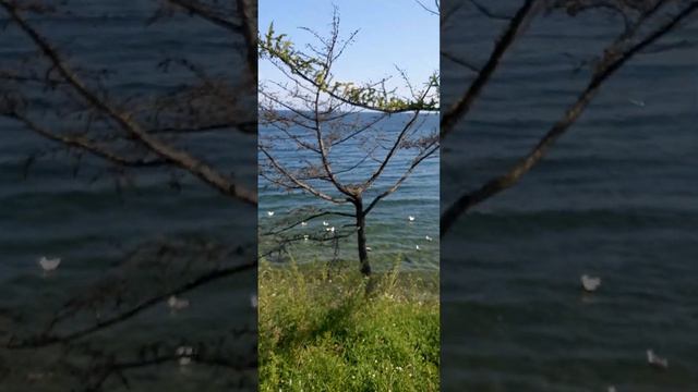 Озеро Байкал. Большое Голоустное. смотреть онлайн