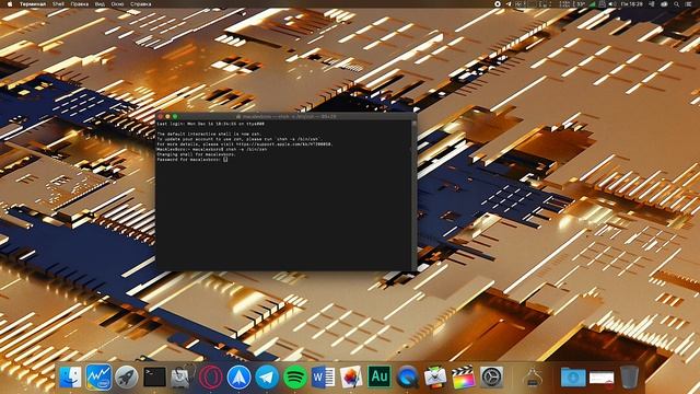 КАК СМЕНИТЬ ОБОЛОЧКУ BASH НА ZSH MACOS!ХАКИНТОШ! смотреть онлайн