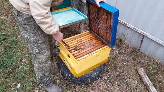 однорамочные отводки, как идут в зиму. смотреть онлайн