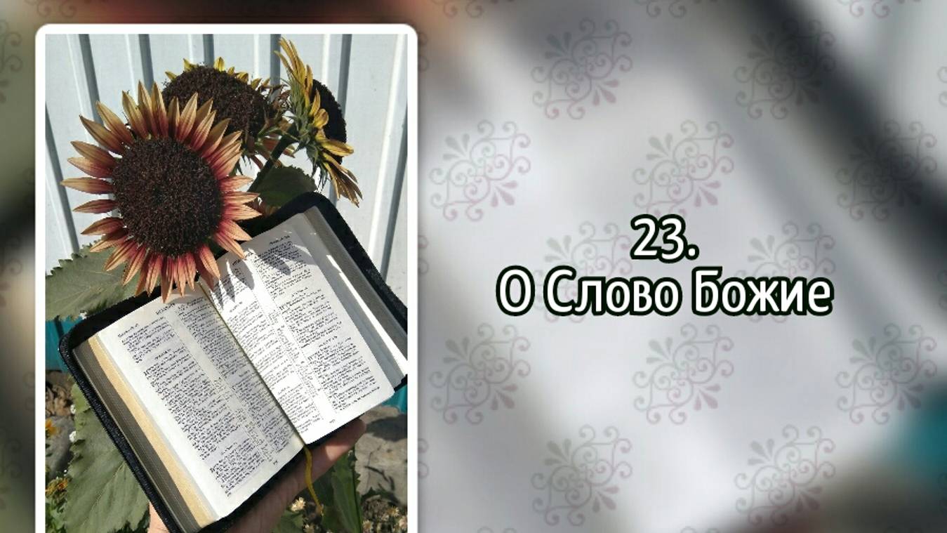 Гимны надежды 23 О Слово Божие (-) смотреть онлайн