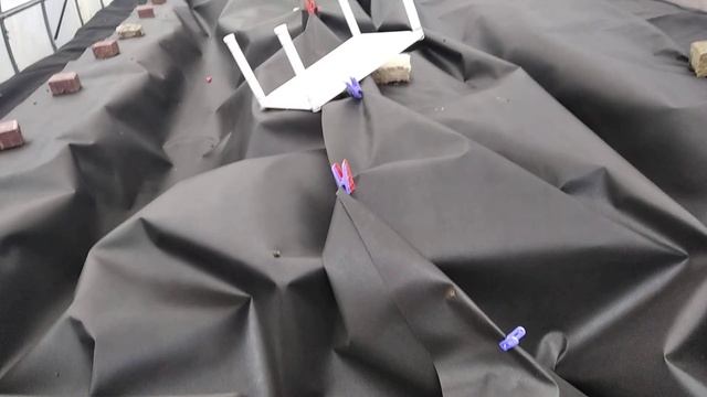 Зимовка пчел в парнике 2019