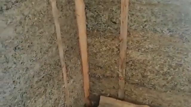 Дом из арболита. Сибирь. Как перезимовал?! смотреть онлайн
