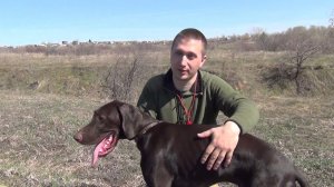 Курсе "Азбука натаски" Отзыв Владельца Курцхаара