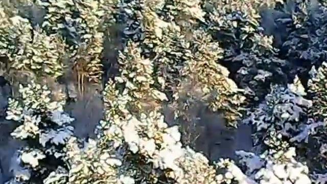 Красная поляна зимой смотреть онлайн