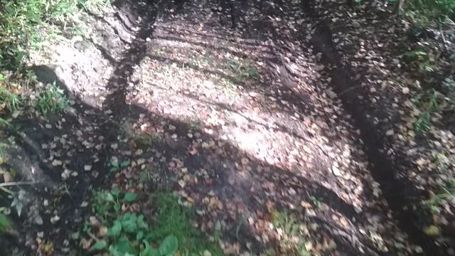 VID_20230907_091419.mp4 смотреть онлайн