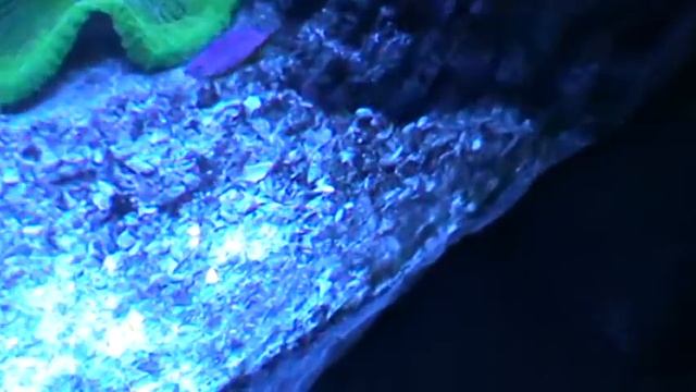 Океанариум г.Воронеж (2) смотреть онлайн