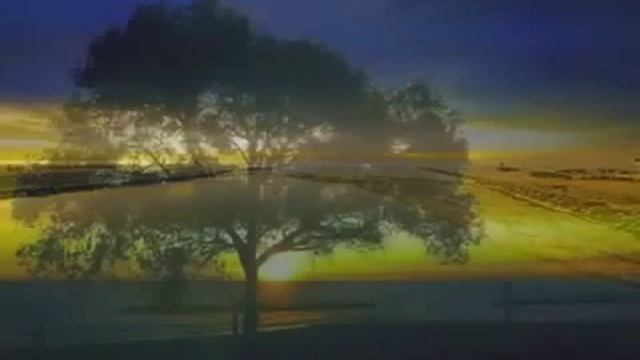 КРАСИВЫЕ СТИХИ О ЖИЗНИ смотреть онлайн