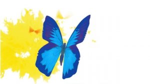 LOVE RADIO video-logo