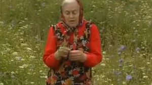 Лечебные травы