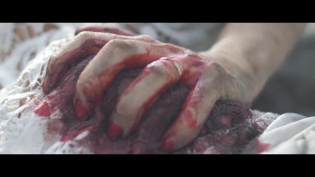 Ludovico Einaudi - Experience (Unofficial Music Video)