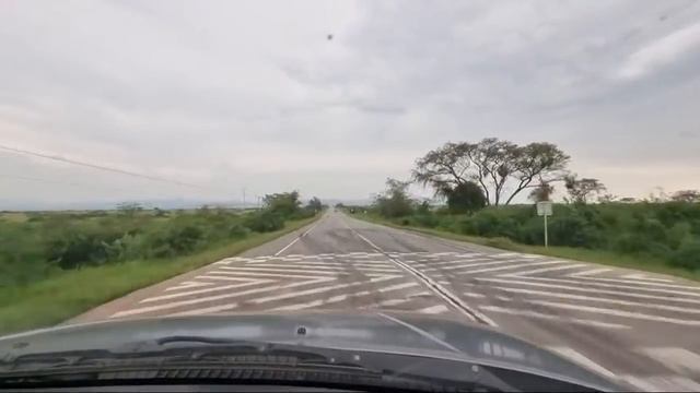 Live Din Safari în Uganda - Singur In Cautarea Leilor смотреть онлайн