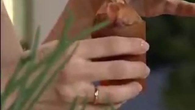 Hydroponics - Гидропонная грядка «Луковое счастье» смотреть онлайн