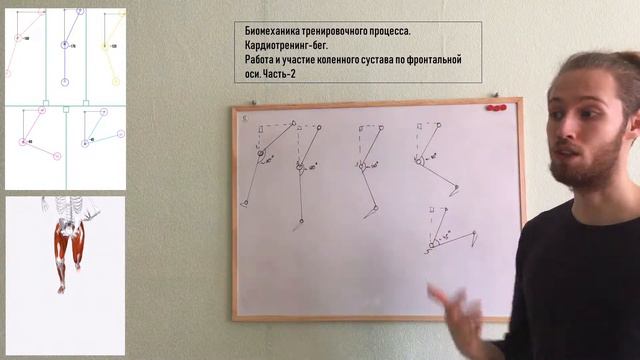 Бимеханика тренировочного процесса. Бег. Участие коленного сустава. Фазы движения. Часть-2 смотреть онлайн