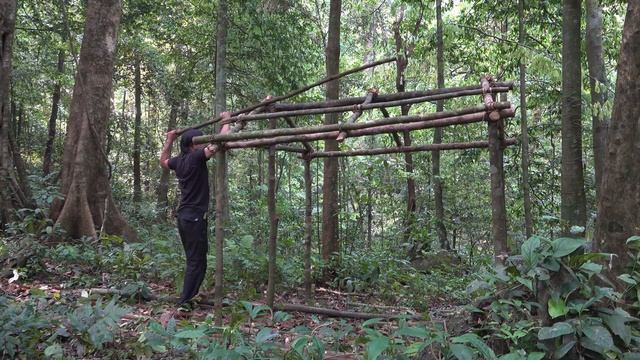 [Full Video] Build the most beautiful solid hut in the tropical rainforest смотреть онлайн