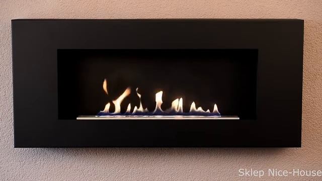 Настенный Биокамин Delta flat 1200 | SappFire - Биокамины от производителя | ibiokamin.ru смотреть онлайн