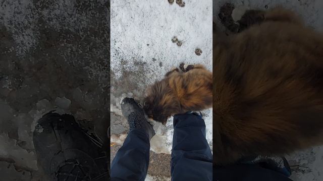 Ласковый Домовенок Кузя смотреть онлайн