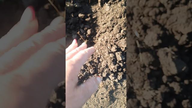 Целый день по гостям. смотреть онлайн