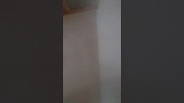 leonardo joeperez vega смотреть онлайн