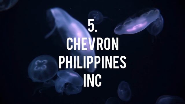 Top 10 Taxpayers in the Philippines based on duties and taxes paid | 4K смотреть онлайн