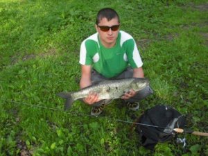 ЖЕРЕХ 2870 НА УЛЬТРАЛАЙТ, видео из архива.