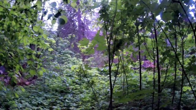 Заброшки Озера Круглое смотреть онлайн