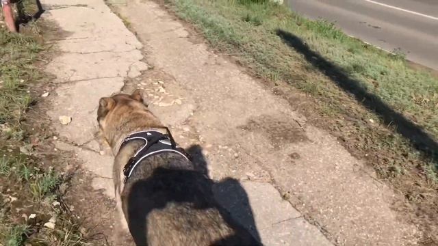 Семейные рецепты бабушки