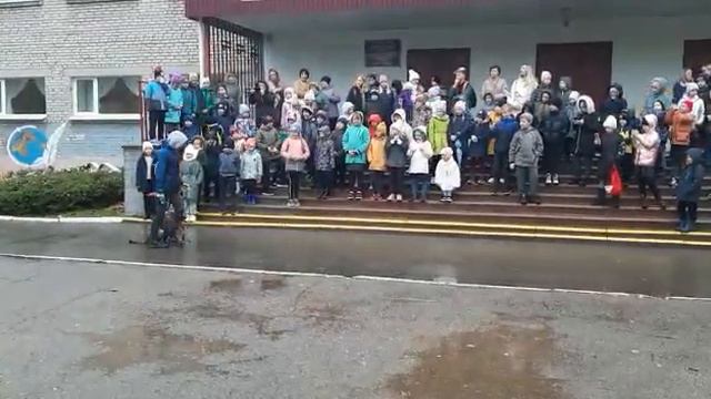 Линия ВАЙС ДЖАМИЛЬ РАУФ, сука 7.5 месяцев. Москва. смотреть онлайн
