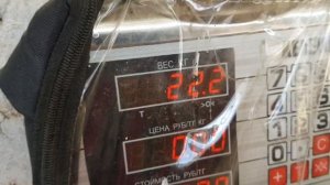 +77017224679 Анвар Рустемов. Сравнение дорпера и F1 дорпер+меринос.