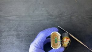 WAKA 10000. Обзор | Разбор | Заправка