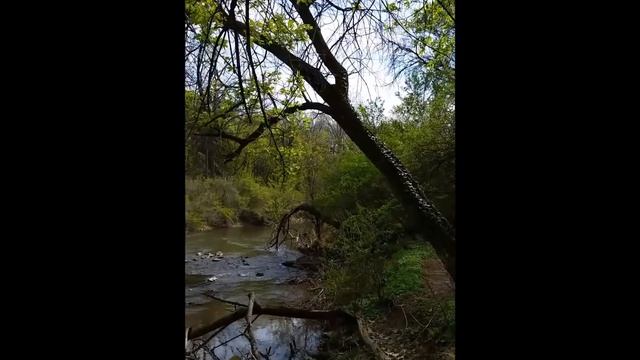 №22 США. Наша прогулка в заброшенном парке. смотреть онлайн