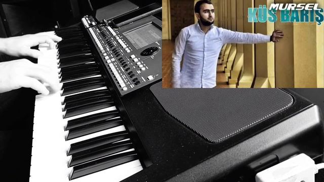 Küs Barış Yeni 2024 - (Emil Sintezator Yenilikler) Korg Pa600 QT Offical Video смотреть онлайн