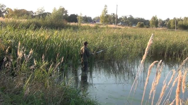С боковым кивком на линя_отчёт о рыбалке в сентябре смотреть онлайн