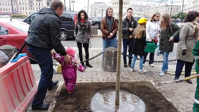 Посадка клёнов на пл.Восстания, г.Санкт-Петербург, 29.09.2019г.,(8часть) смотреть онлайн