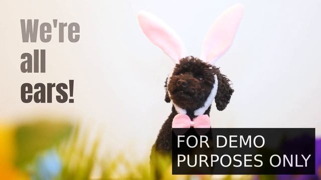 RED Marketing - Realtor Ad 1 Demo смотреть онлайн