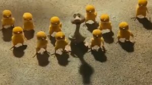 Гарри Бардин Гадкий утёнок Гимн