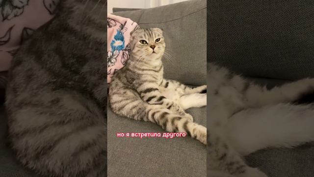 История о любви и предательстве,на реальных событиях.Очень интересная и поучительная история смотреть онлайн