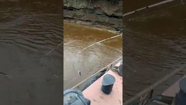 Рыбалка на севере красноярского края смотреть онлайн