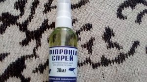 Что делать если у попугая или грызуна блохи