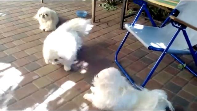 VID 20190706 173048 смотреть онлайн